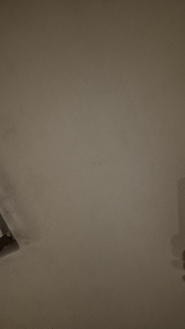 Um pé de pato modelo redley fins azul e preto.